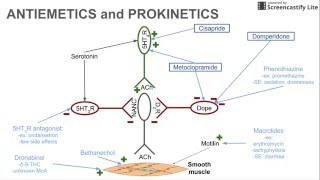 Antiemetics and Prokinetics [upl. by Otit179]