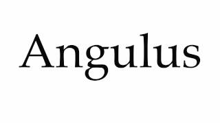 How to Pronounce Angulus [upl. by Nannoc]