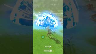 This Was Complete Skill Sarcasm zelda letsplaybreathofthewild videogame gaming funny [upl. by Penelope]