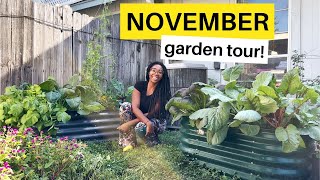 Tour my Garden mid Novembergardentour [upl. by Gnof879]