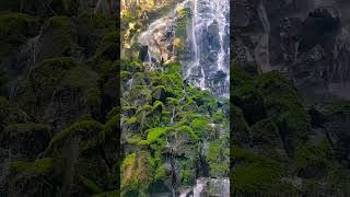 Neture waterfall mountains nature relaxing music shorts [upl. by Joline]