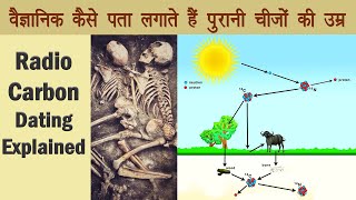 Carbon Dating कैसे काम करती है  How Radio Carbon Dating Works [upl. by Moran]