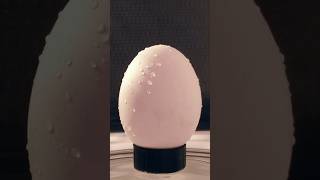 Why Does An Egg Explode In A Microwave [upl. by Given]