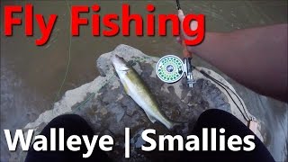 Fishing Streamers for Walleye and Smallmouth Bass  Ten Mile Creek PA [upl. by Ecienaj]