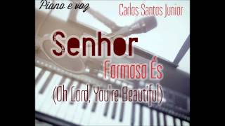 Senhor Formoso És Oh Lord Youre Beautiful  Carlos Santos Junior Cover Keith Green [upl. by Wylma]