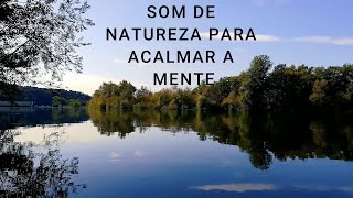 Som de Natureza para acalmar a mente [upl. by Amery218]