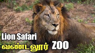 Lion amp Deer Safari  Vandalur Zoo  Arignar Anna Zoological Park [upl. by Carbone]