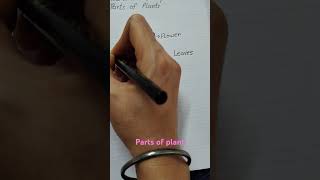 How to draw plant parts of plantdrawing art preschool youtube viralvideo [upl. by Nwahsit998]