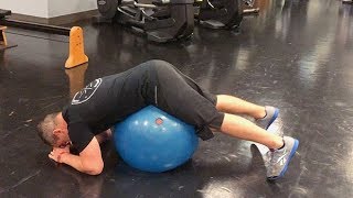 StabilityBall Reverse Hip Extension [upl. by Nnaarat]