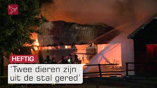 18 paarden omgekomen door stalbrand bij manege in Zeewolde  Omroep Flevoland [upl. by Nlycaj]