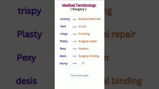 What is the meaning of otomysurgicalterminology surgicalterms otomy excision incision [upl. by Cela]