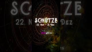 🏹 Schütze Horoskop 2 Novemberwoche 2024 Abenteuer erwartet dich 🌍 schütze [upl. by Tlevesor]