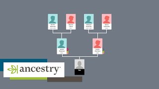 How Ancestry works  Howto  Ancestry UK [upl. by Smiley]