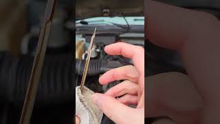 How To Check Dipstick amp Engine Oil  EASY [upl. by Anirtak]