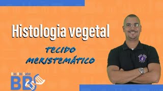 02  Botânica  Histologia vegetal  Tecido Meristemático [upl. by Canice]