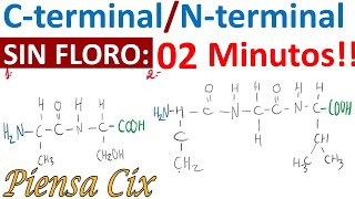 Cterminal y Nterminal Aminoácidos Enlace Peptídico  2 minutos  Ciensus [upl. by Conrade]