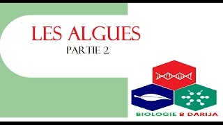 cours biologie végétale partie 2 les algues [upl. by Aynad]