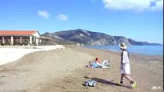 Official Harlem Shake Zakynthos  Kalamaki Beach  Greece [upl. by Ahsiram]