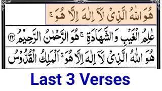 Surah Hashr Last 3 Ayat 7 Times  Surah Al Hashr HD Arabic Text  Online Teaching Center [upl. by Annairol]