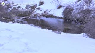 Nacimiento del río Segura Santiago Pontones [upl. by Biddick]