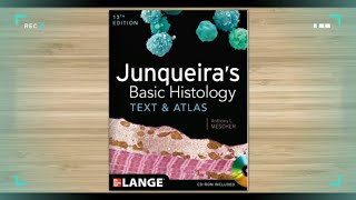 Junqueiras Basic Histology Text and Atlas Anthony Mescher [upl. by Norrie572]