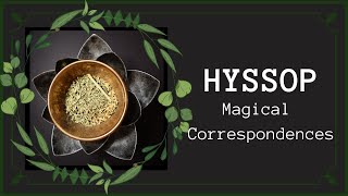 Hyssop Correspondences amp Uses In Magical Practice  Hyssopus Officinalis  Witchcraft [upl. by Novek81]