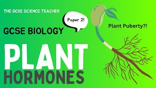 GCSE Biology Plant Hormones AQA OCR Edexcel [upl. by Yllatan]