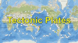 Tectonic Plates [upl. by Curkell]