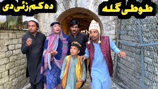 Tuti Gulla Da Kam Za De New Funny Video 2024 by Tuti Gull Official [upl. by Nimajeb]