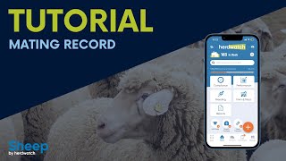 Tutorial Add a Mating Record Sheep [upl. by Miof Mela]