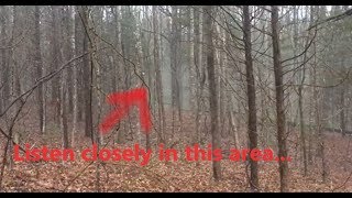 Mysterious Sounds And Movement Coming From Frightening Foggy Forest [upl. by Faber524]