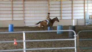 4H Horse Show obstacle course at the Yates County Fair [upl. by Sinnylg]