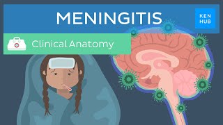 Meningitis Causes symptoms treatment  Kenhub [upl. by Rothmuller850]