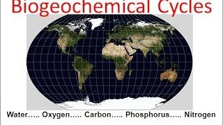 Biogeochemical Cycles honors biology updated [upl. by Weinreb]