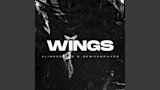 WINGS [upl. by Ahsiena]