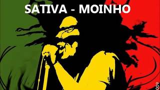 Sativa  Moinho [upl. by Daffi]