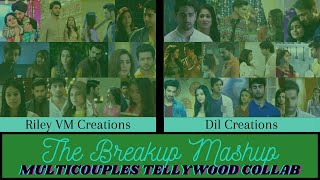 The Breakup Mashup  Tellywood Multicouples Collab wDil Creations [upl. by Ibrad932]