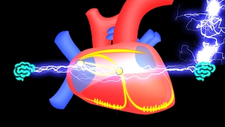 🔴 APPRENEZ LE SYSTEME ELECTRIQUE DU COEUR EN 7 MIN EN 2017   DR ASTUCE [upl. by Oirevas]