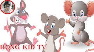 Laugh and Learn  Three Blind Mice Nursery Rhymes  Sing Along Song Video for Kids with BongKidTV [upl. by Petula]