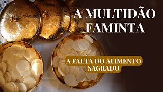 A FALTA DO ALIMENTO SAGRADO  Pedro Regis 64 [upl. by Sissie]