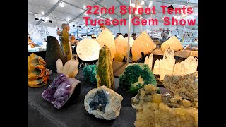 Phenomenal Stones at the Tucson Gem Show 2023 [upl. by Cand]