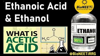 Esterification amp Saponification Chemistrys Soapy Secrets [upl. by Jacquelyn426]