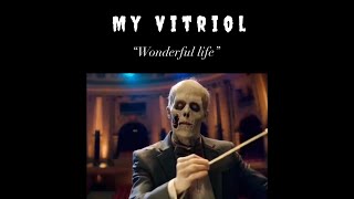 My Vitriol  Wonderful Life [upl. by Berthoud]