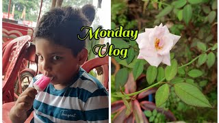 Monday Morning Vlog  Sara din ki ranna korbo  Matcher Recipe VlogPassionatetuhina youtubevideos [upl. by Larsen]