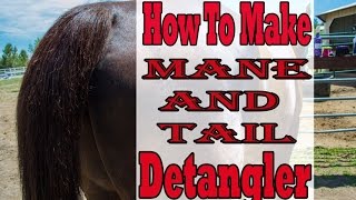 How To Make Horse Mane and Tail Detangler DIY [upl. by Ettenoj]