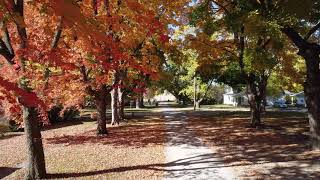 Autumn on West 2nd Street [upl. by Llirrem649]