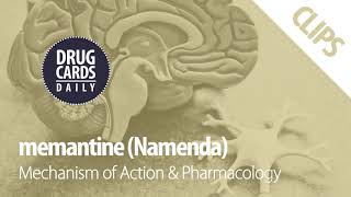 Memantine Mechanism of Action amp Pharmacology  Drug Cards Daily Clips [upl. by Labana]