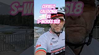 Best Bike cat walk ever  Cervelo Caledonia 5 vs SWorks SL 8 [upl. by Bodrogi]