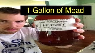 Easy 1 gallon Mead [upl. by Eerat]