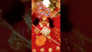 Hamara man Radhaallbhaktistatusvideo harekrishna radheradhe 🙏🙏🙏 [upl. by Alisia]